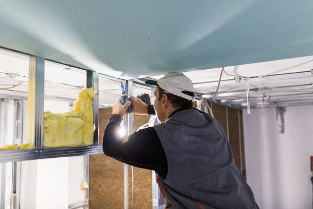 Best Radiant Barrier Insulation  in Colmar Manor, MD